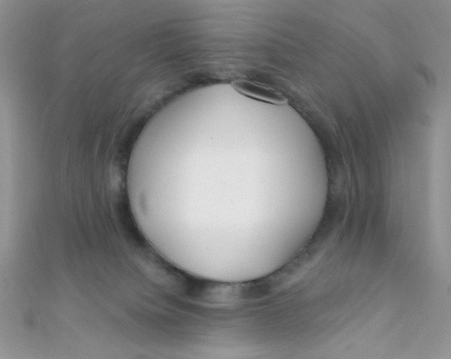 X0000112390084200909032022