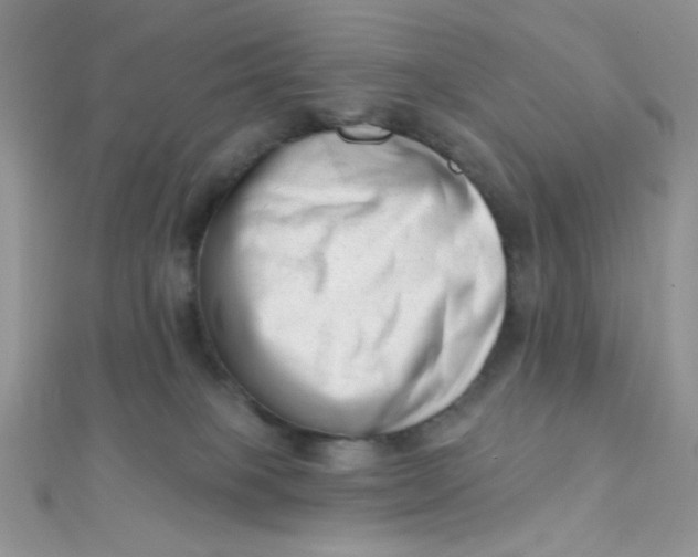 X0000112390085200909032022