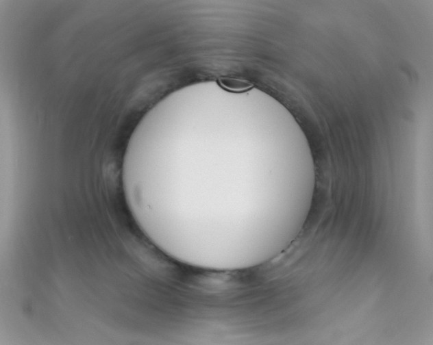 X0000112390086200909032022