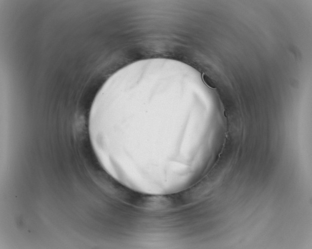 X0000112390087200909032022