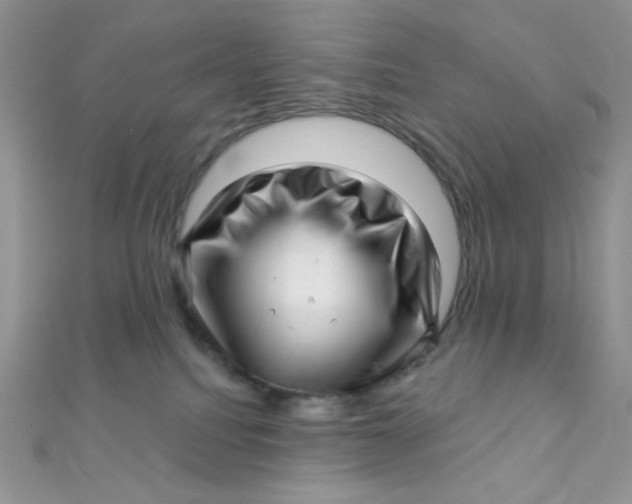 X0000112390088200909032022