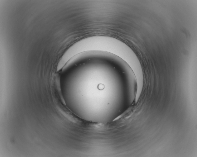 X0000112390092200909032022