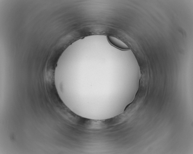 X0000112390093200909032022
