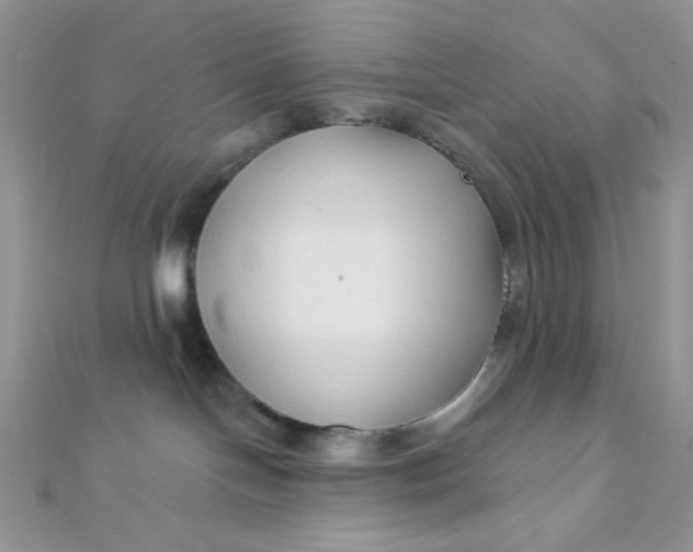 X0000112390094200909032022