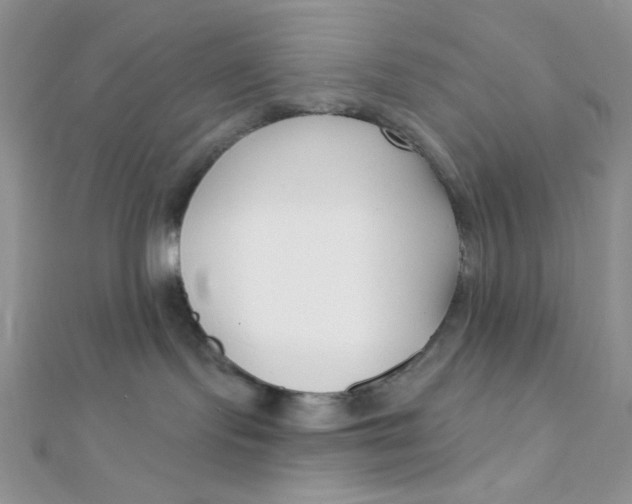 X0000112390095200909032022