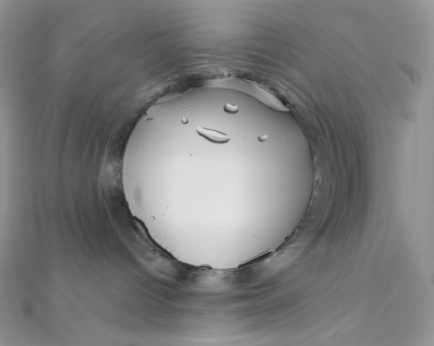 X0000112390096200909032022