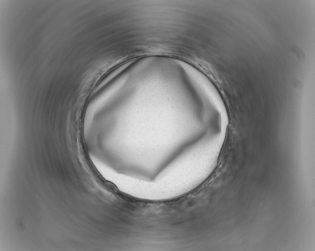 X0000112390097200909032022