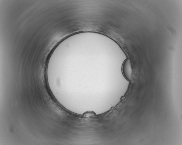 X0000112390098200909032022