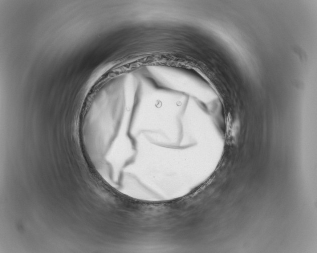 X0000112390099200909032022