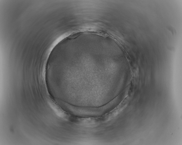 X0000112390100200909032022