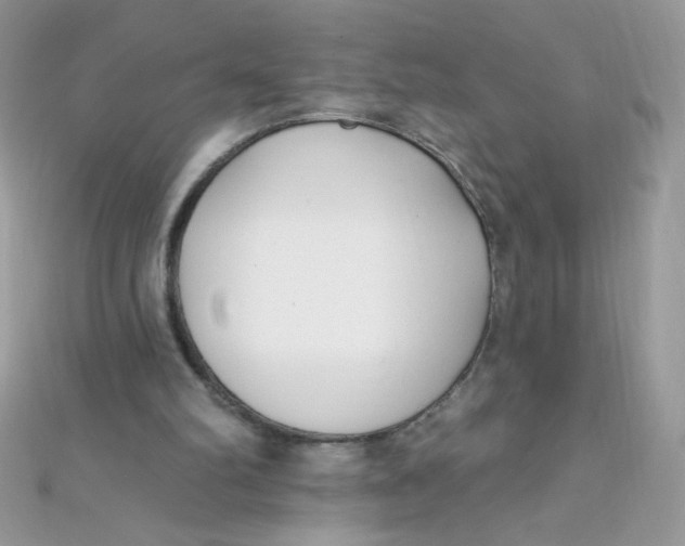X0000112390102200909032022