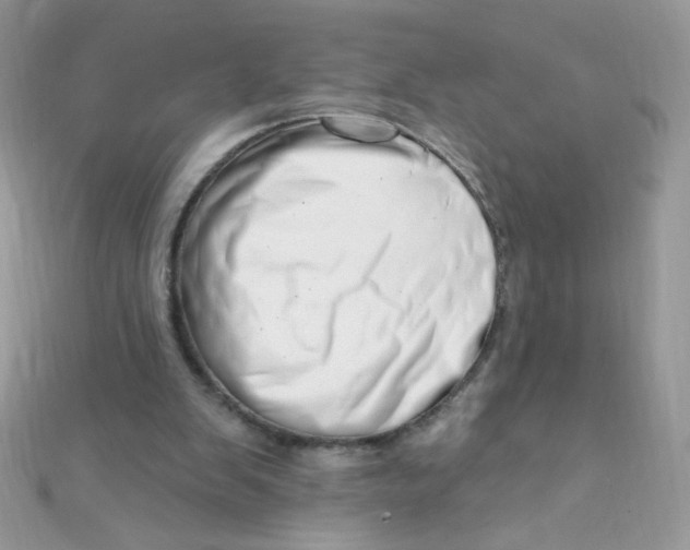 X0000112390103200909032022