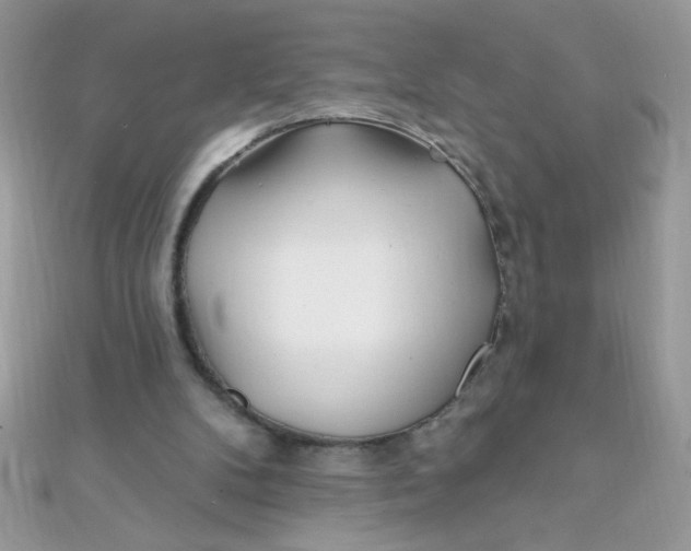 X0000112390104200909032022