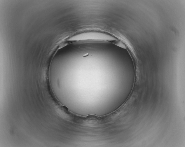 X0000112390105200909032022