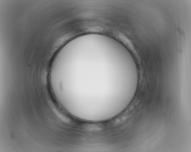 X0000112390106200909032022