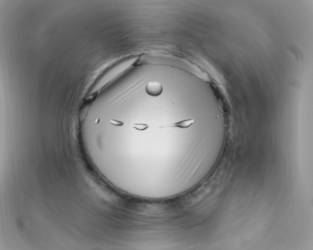 X0000112390107200909032022
