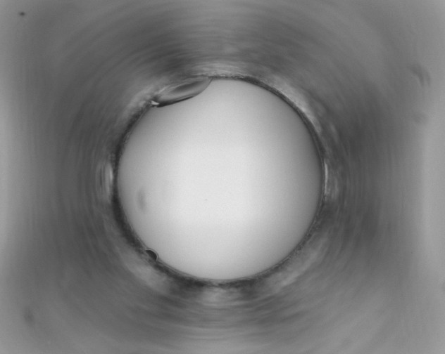 X0000112390109200909032022