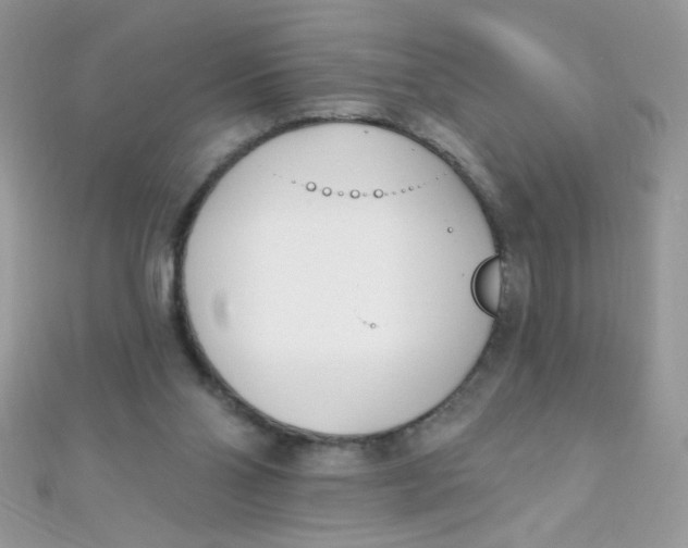 X0000112390110200909032022