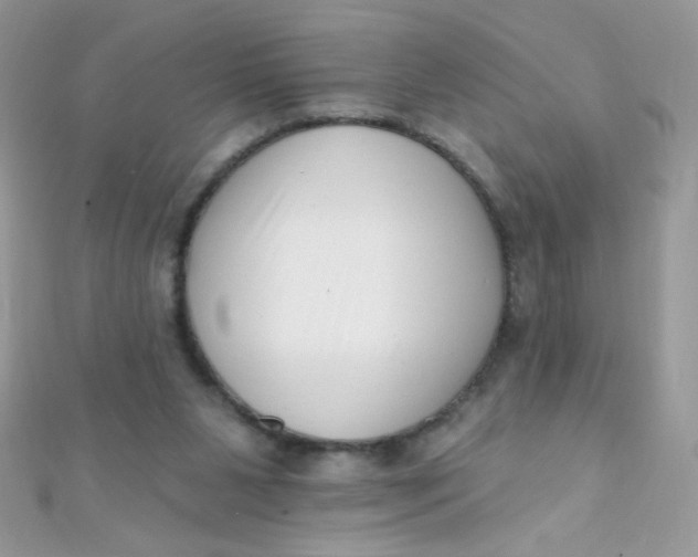 X0000112390111200909032022