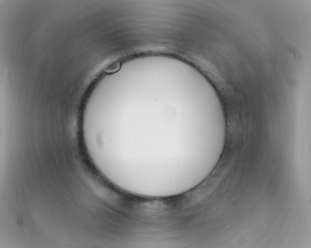 X0000112390112200909032022