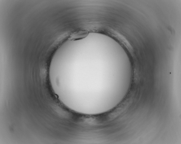 X0000112390113200909032022