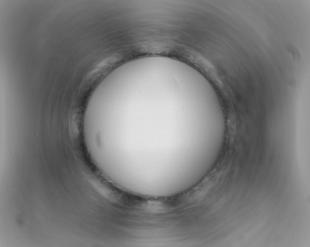X0000112390114200909032022