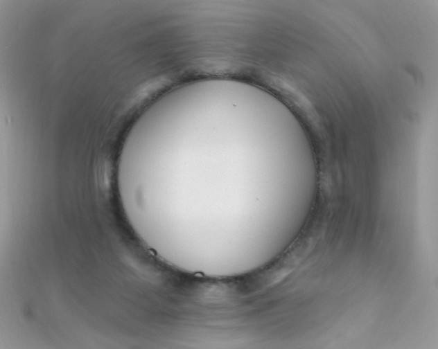 X0000112390115200909032022