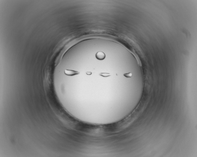 X0000112390116200909032022