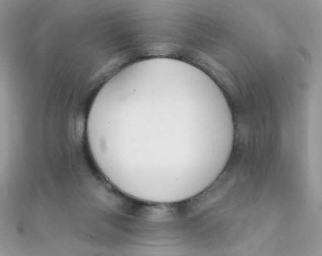 X0000112390118200909032022