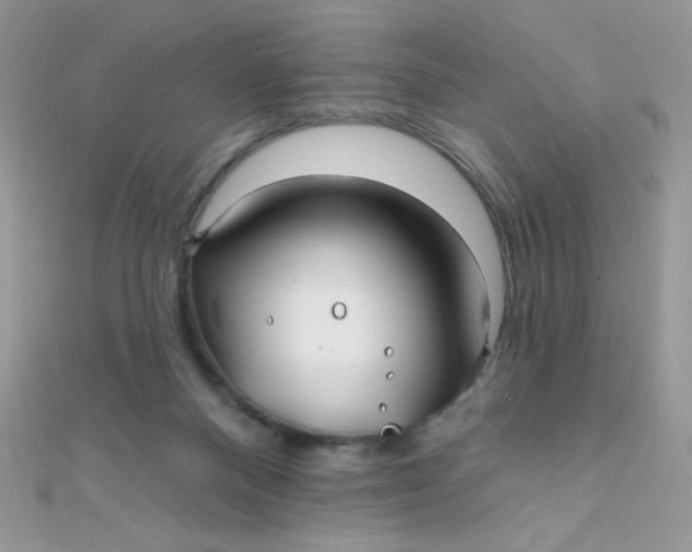 X0000112390120200909032022