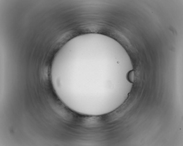 X0000112390122200909032022