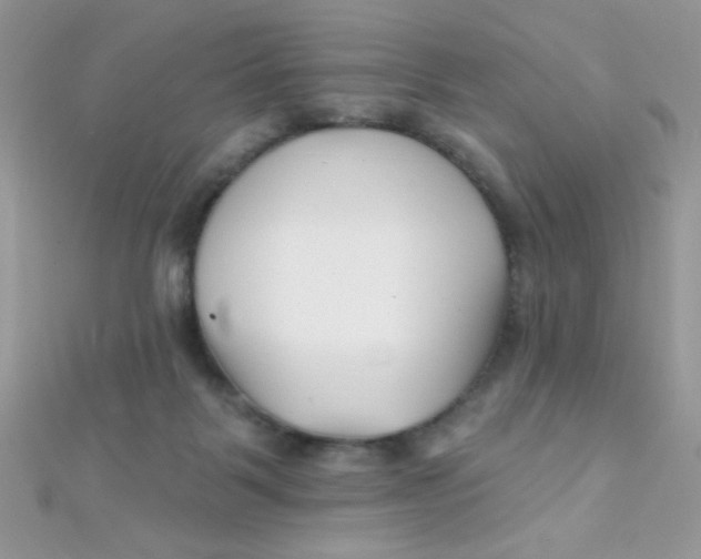 X0000112390123200909032022