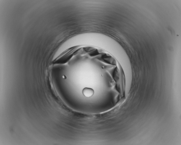 X0000112390124200909032021