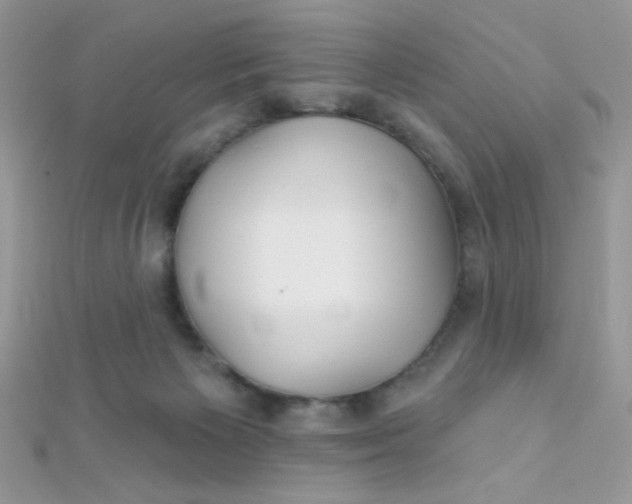X0000112390125200909032021