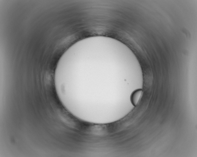 X0000112390126200909032021