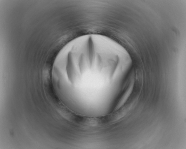 X0000112390127200909032021