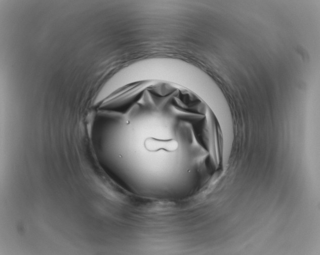 X0000112390128200909032021