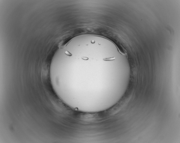 X0000112390129200909032021