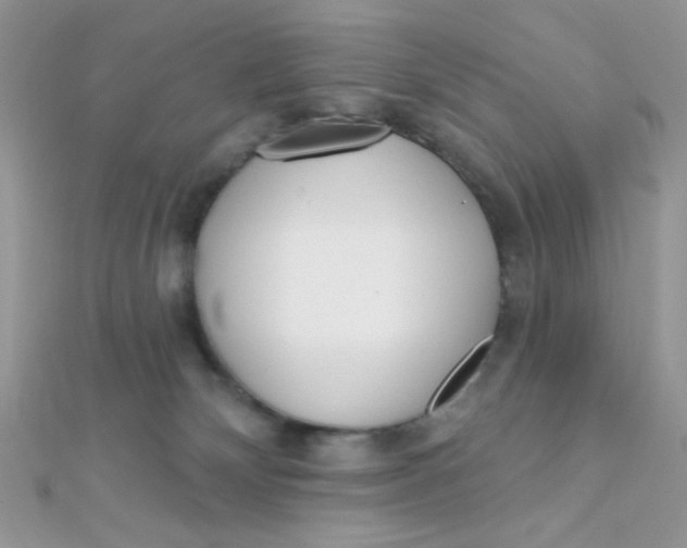 X0000112390132200909032021