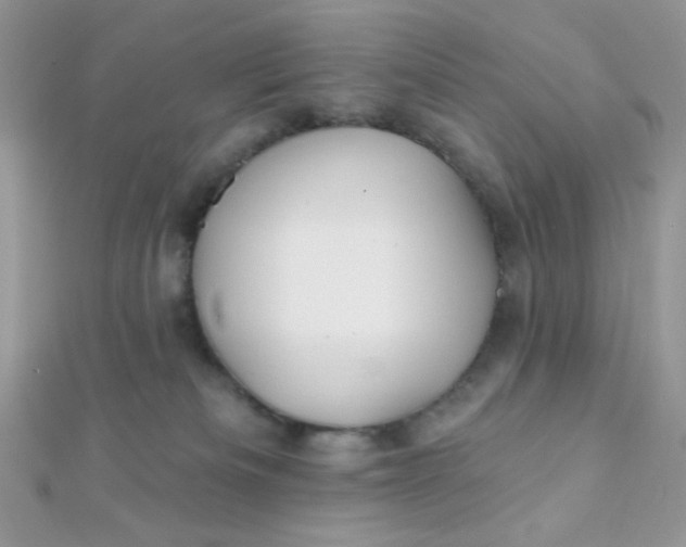 X0000112390133200909032021