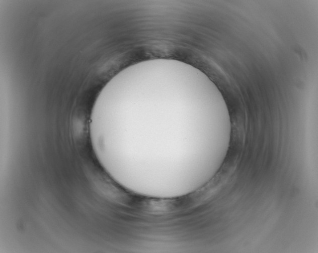 X0000112390134200909032021
