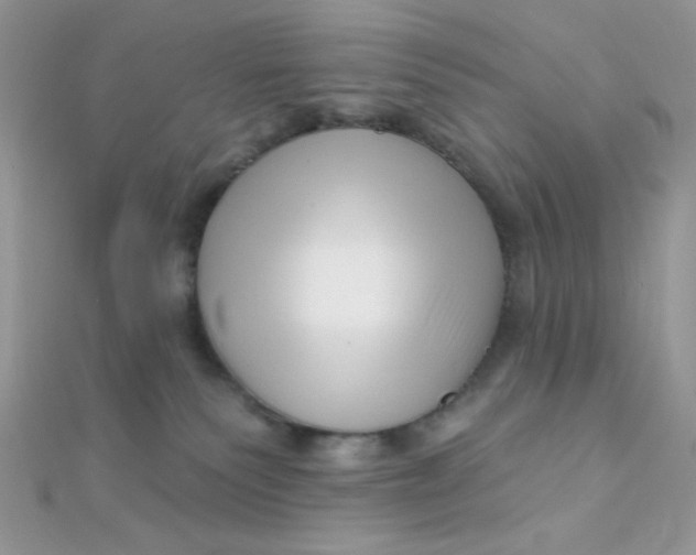 X0000112390135200909032021