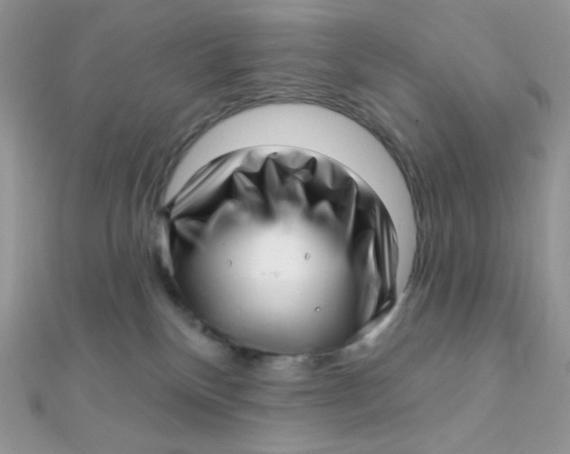 X0000112390136200909032021