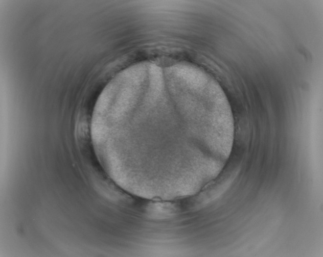X0000112390137200909032021