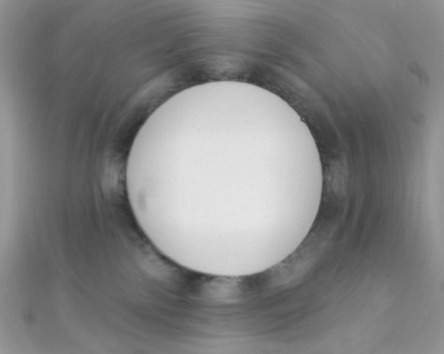 X0000112390138200909032021
