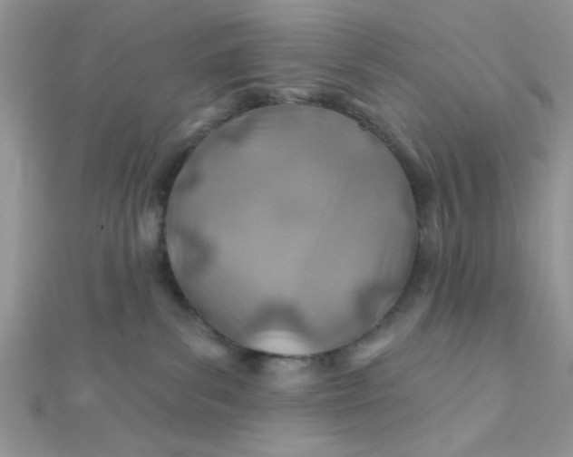 X0000112390139200909032021