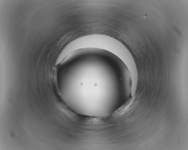 X0000112390140200909032021