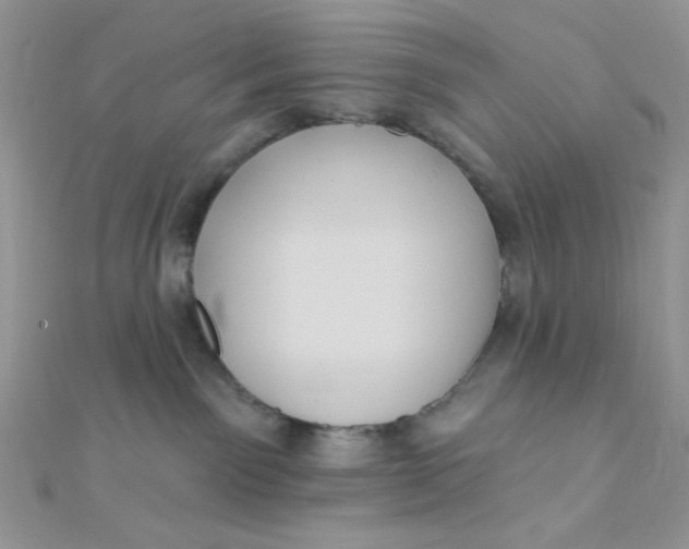 X0000112390141200909032021