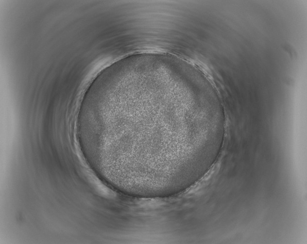 X0000112390145200909032021