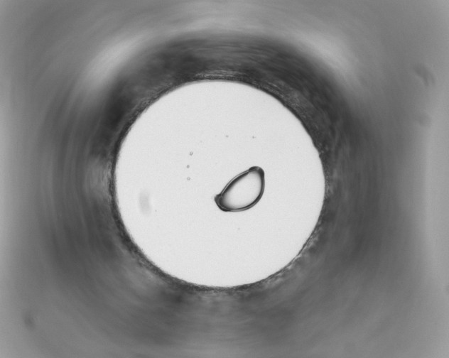 X0000112390146200909032021